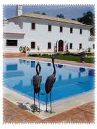 ribeira_da_algibre