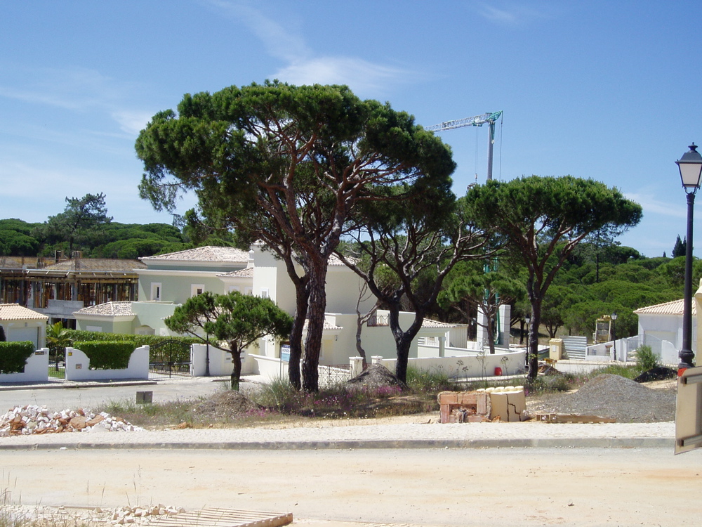 P1010031